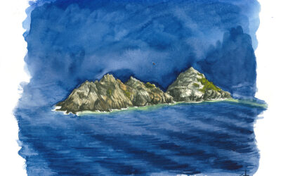 Des nouvelles d’Axel, notre peintre voyageur ami de Port-Cros