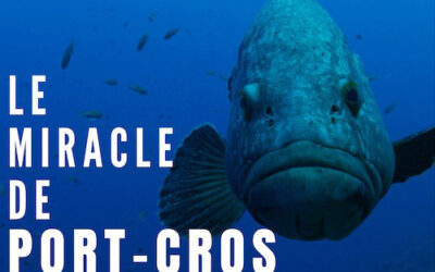 Film : le Miracle de Port-Cros