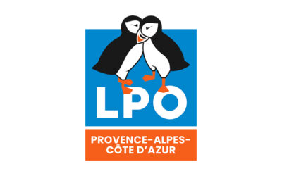 Les métamorphoses