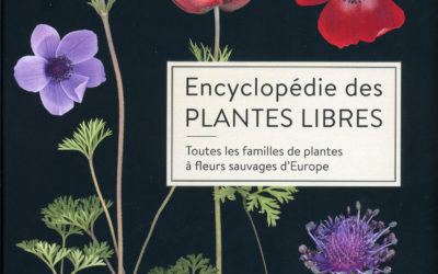 Un très très beau livre